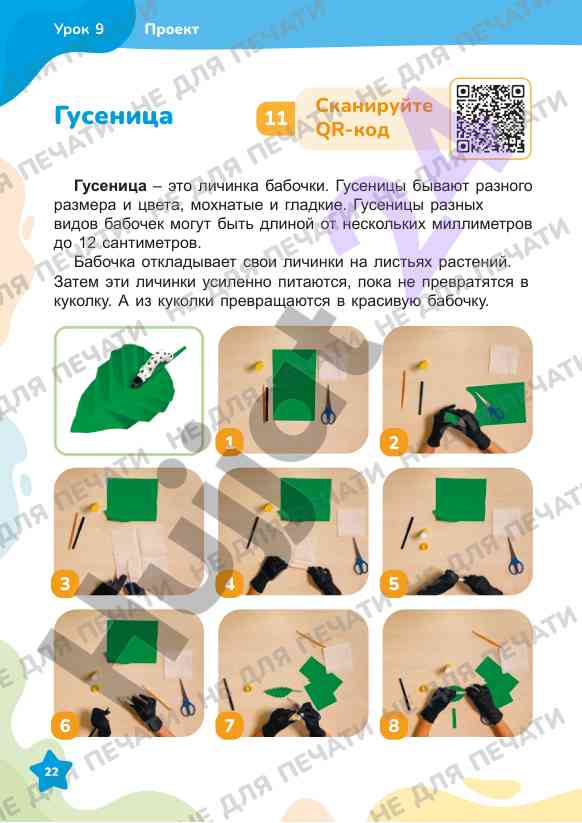 Гусеницы бабочек и их разнообразие