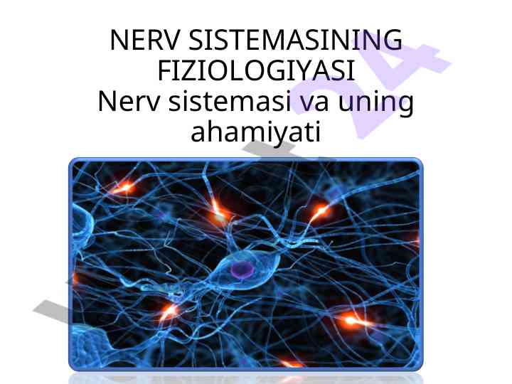 Nerv sistemasining fiziologiyasi va ahamiyati