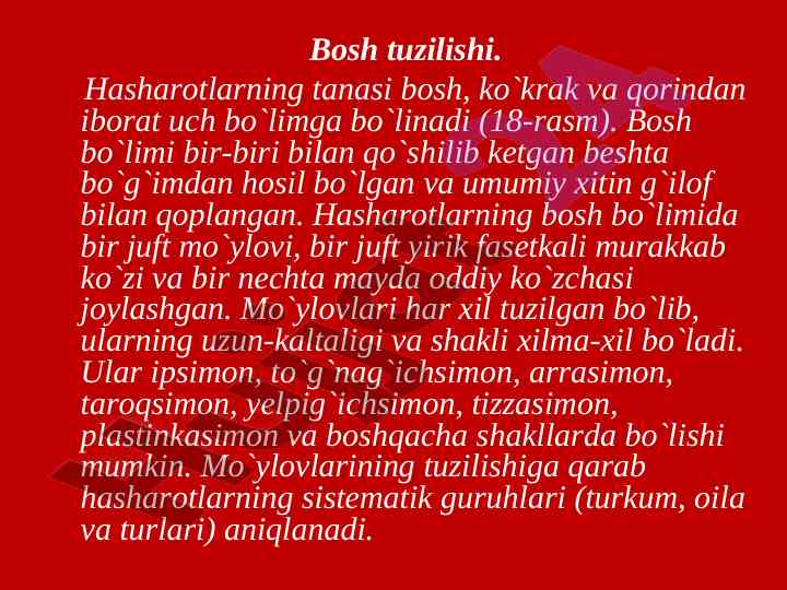 Hasharotlarning bosh tuzilishi va oziqlanishi