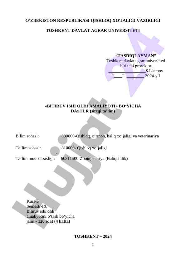 Bitiruv ishiga oldi amaliyoti dasturi 2024