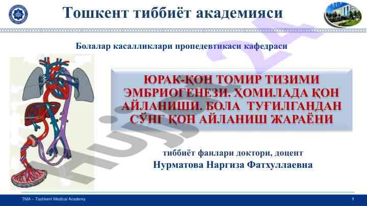 Yurak-qon tomir tizimi embriogenezi ahamiyati