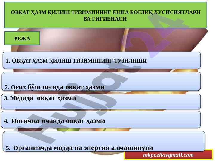 Ovqat hazm qilish tizimining yoshga bogliq xusisiyatlari