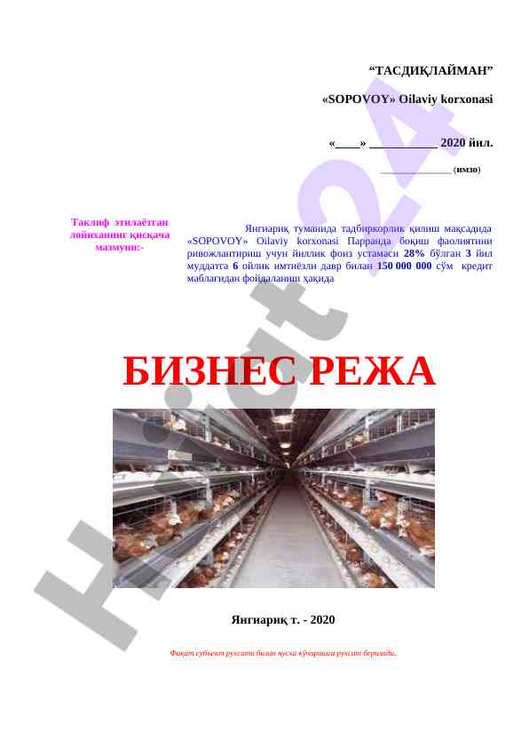 Тадбиркорлик лойиҳаси тўғрисида ҳужжат
