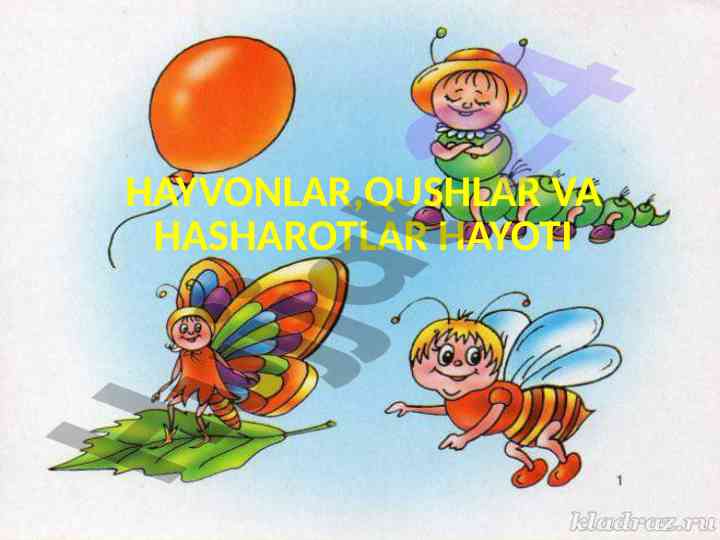 Hayvonlar, qushlar va hasharotlar hayoti haqida ma'lumot