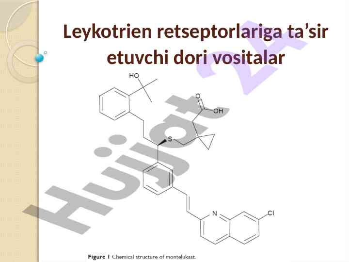 Leykotrien receptorlariga ta’sir etuvchi dori vositalar