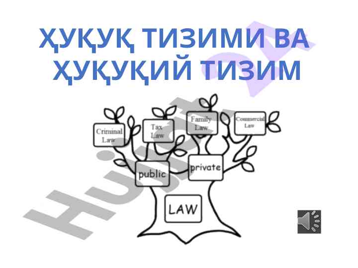 Huquq tizimi va huquqiy tizim asoslari
