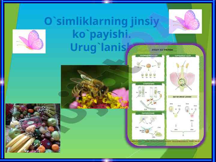O‘simliklarning jinsiy ko‘payishi va urug‘lanish