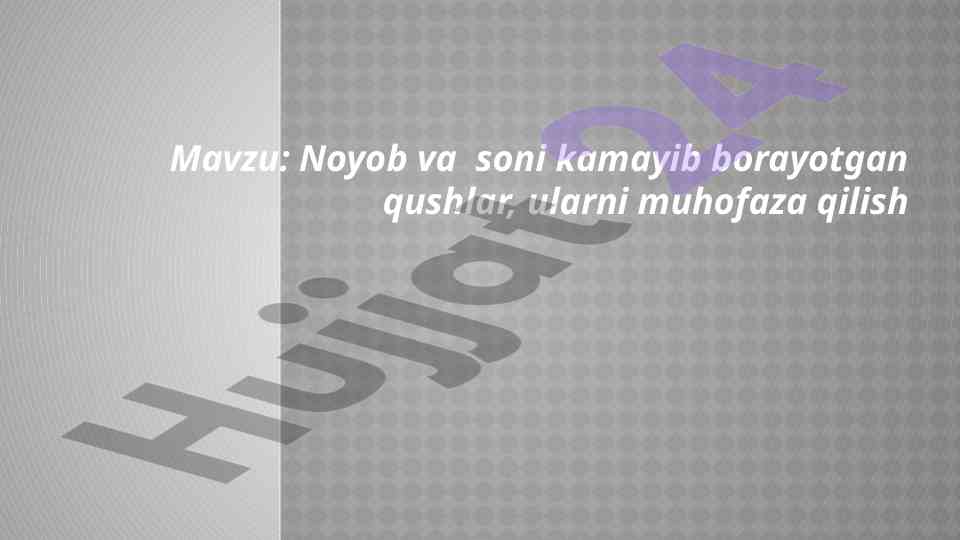 Noyob qushlar va ularni muhofaza qilish