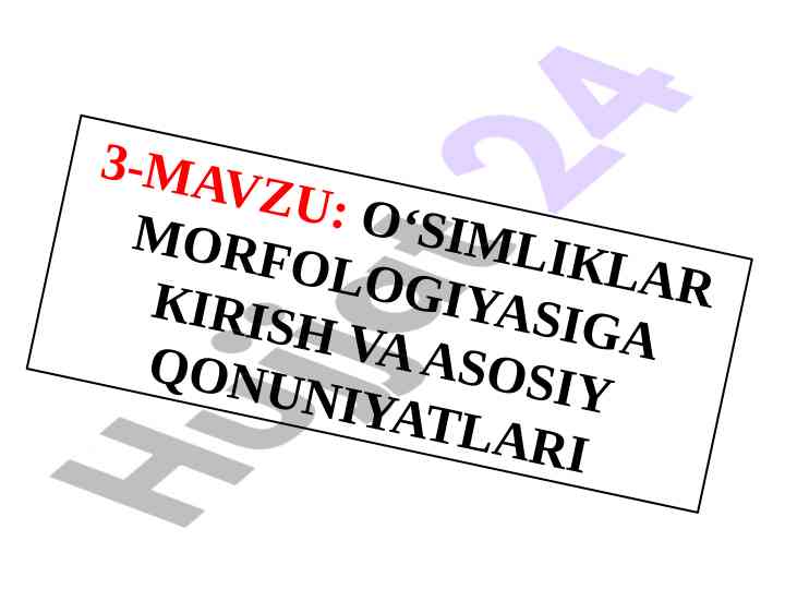O‘simliklar morfologiyasiga kirish va qonuniyatlari