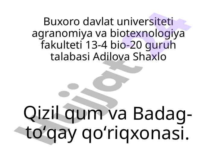 Qizilqum va badag-toʻqay qoʻriqxonasi haqida maʼlumot