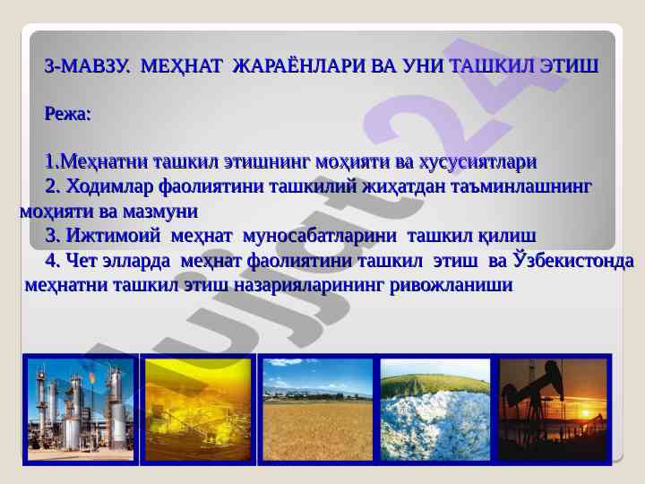 Mehnat jarayonlari va uni tashkil etish