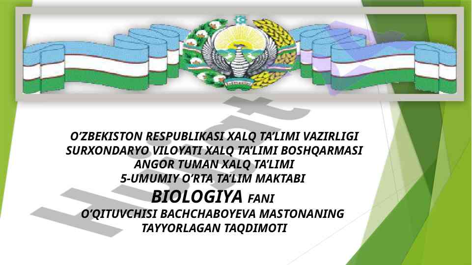Prokariot hujayralar va ularning xususiyatlari