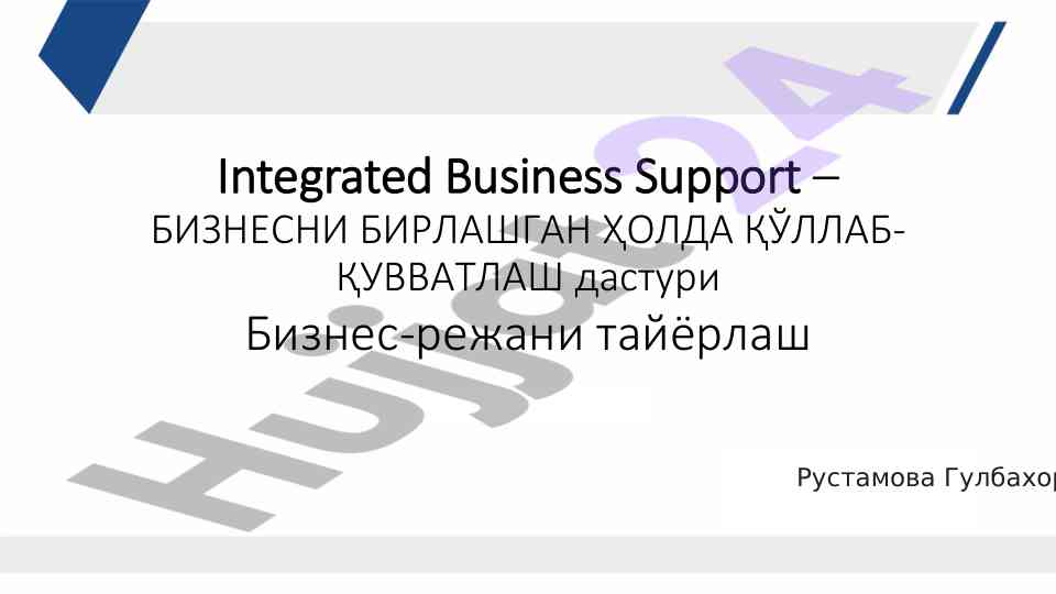 Бизнес режасини тайёрлаш бўйича ўқув qo‘llanmalари