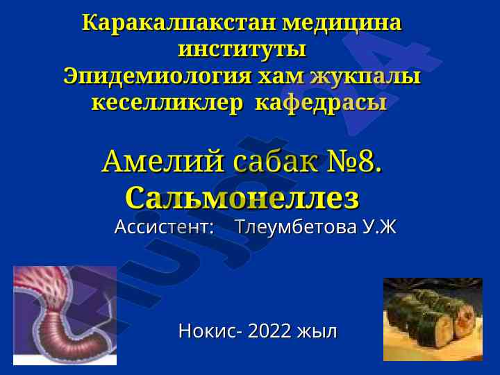 Salmonelez: tarixiy malumotlar va etiologiya