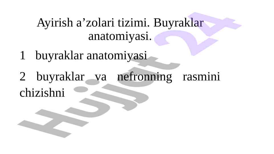 Buyraklar anatomiyasi va ularning foydalari