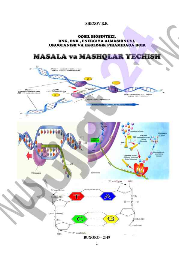 Oqsil biosintezi va dnk hamda rnk masalalari