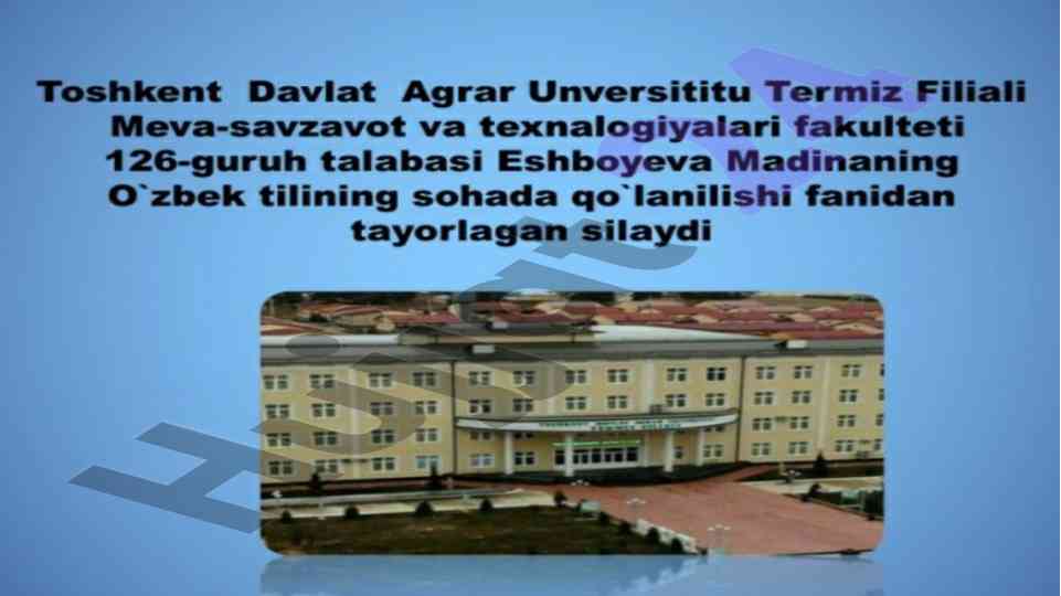 Og’zaki va yozma nutqiy faoliyatlarning o’ziga xosligi
