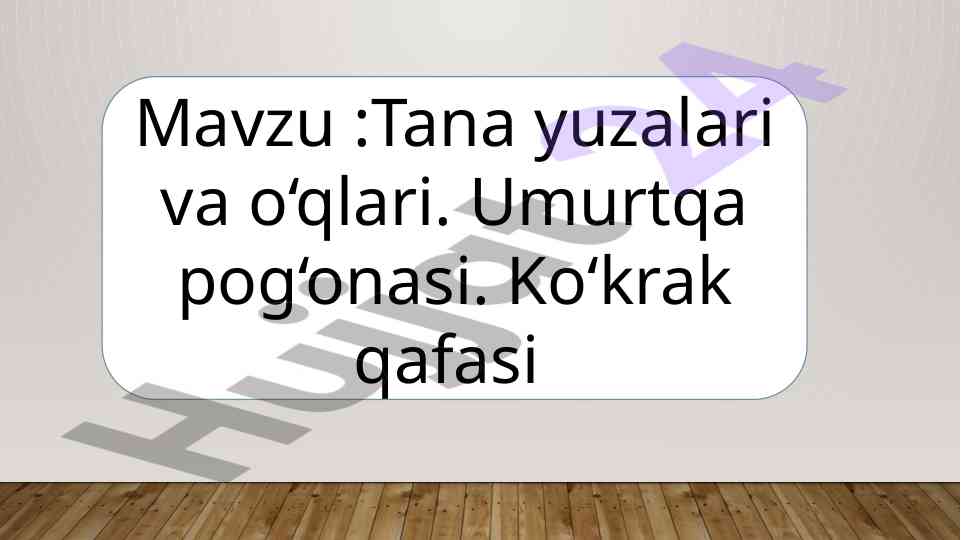 Tana yuzalari va o‘qlari tahlili
