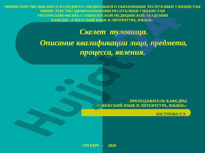 Скелет туловища: описание и структура