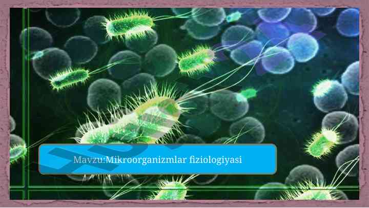 Mikroorganizmlar oziqlanishi fiziologiyasi tahlili