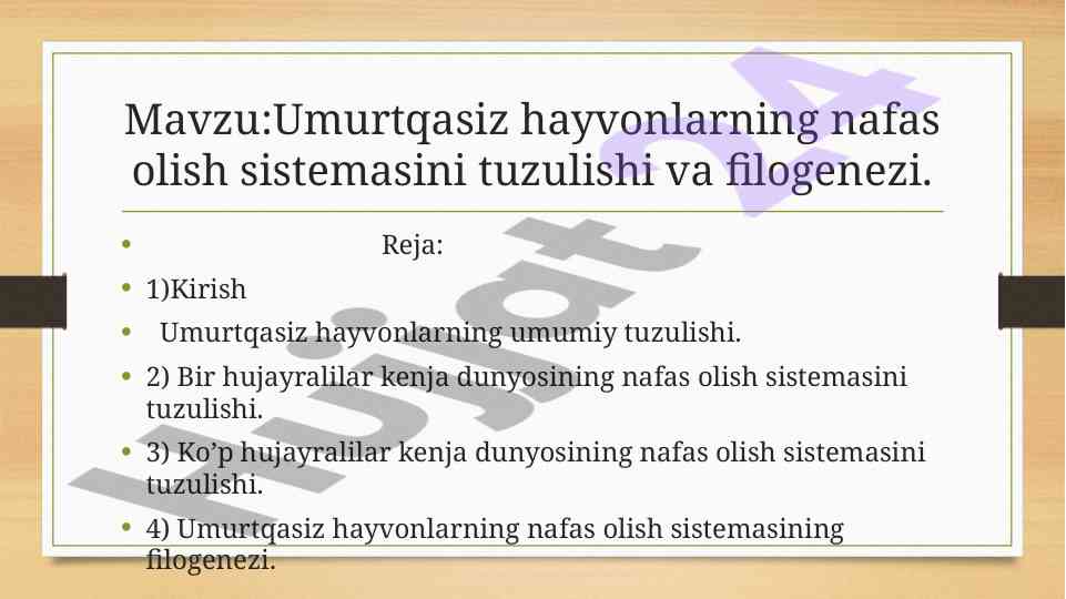 Umurtqasiz hayvonlarning nafas olish tizimi