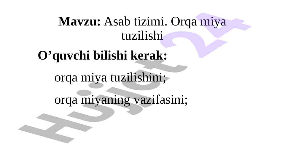 Orqa miya tuzilishi va vazifasi