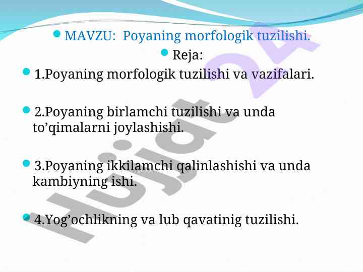 Poyaning morfologik tuzilishi va vazifalari