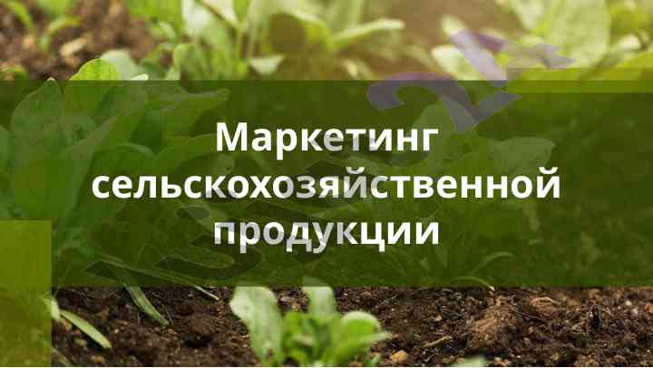 Agromarketingning asosiy poytaxtlari va funktsiyalari
