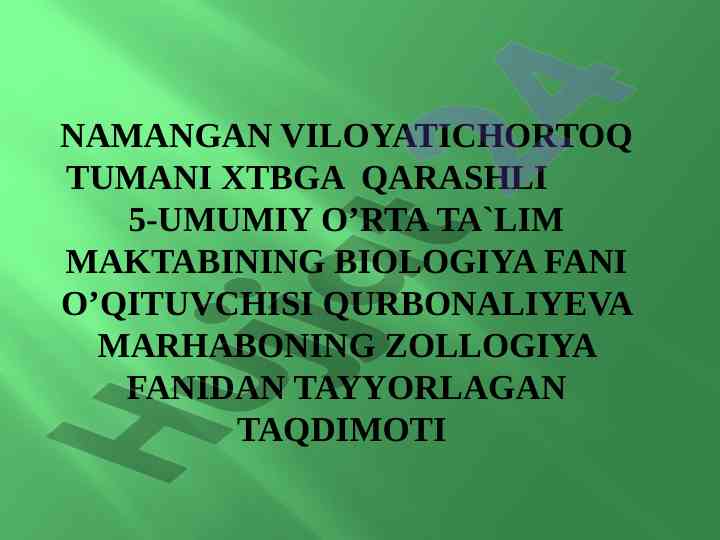 Yirtqich sutemizuvchilar turkumi taqdimoti