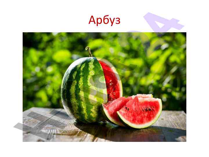 История и польза арбуза: интересные факты