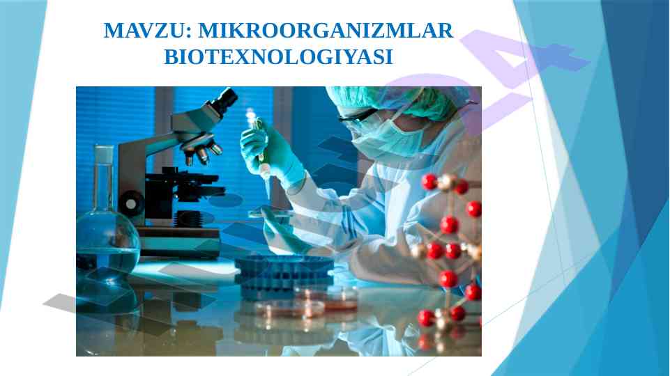 Mikroorganizm biotexnologiyasi tahlili va innovatsiyalar