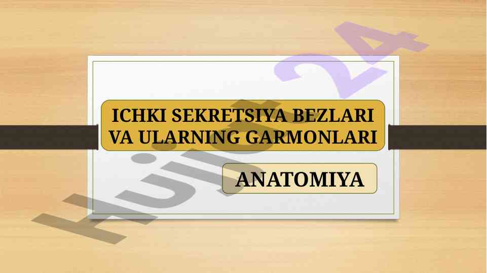 Ichki sekretsiya bezlari anatomiya