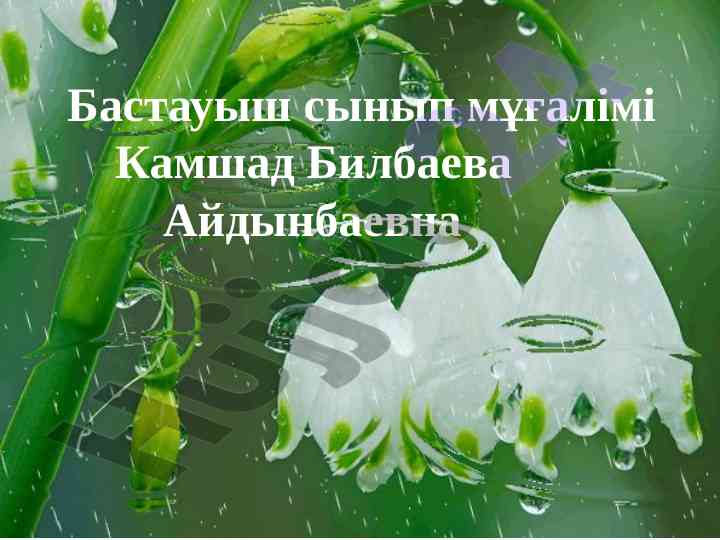 Дауысты дыбыстармен жұмыс жасау стратегиялары