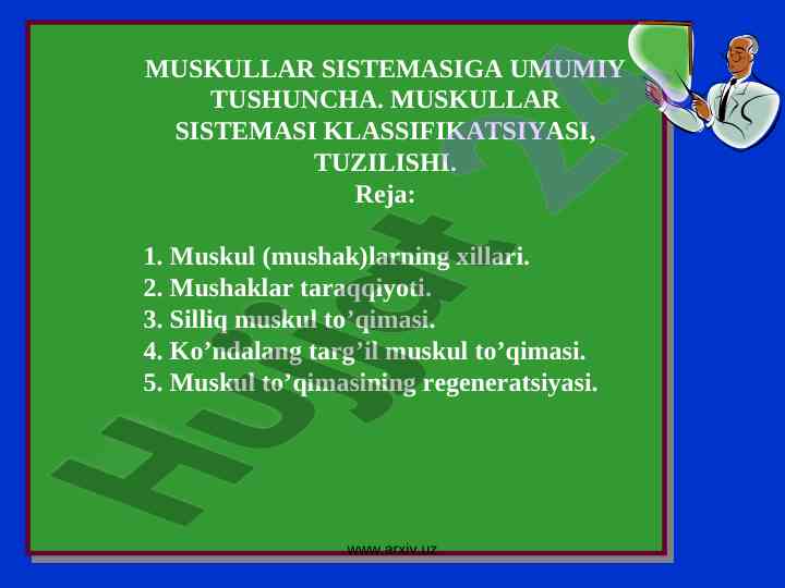 Muskul sistema tushunchasi va klassifikatsiyasi