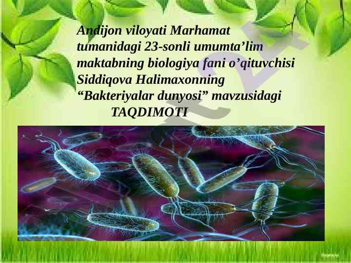 Bakteriyalar dunyosi mavzusidagi taqdimot