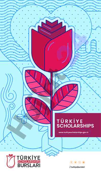 Türkiye scholarships comprehensive guide for students