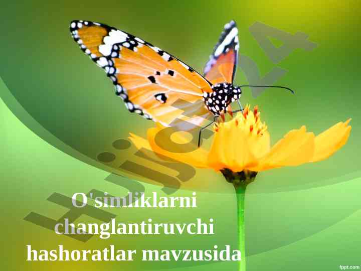 O'simliklarni changlantiruvchi hasharotlar haqida ma'lumotar