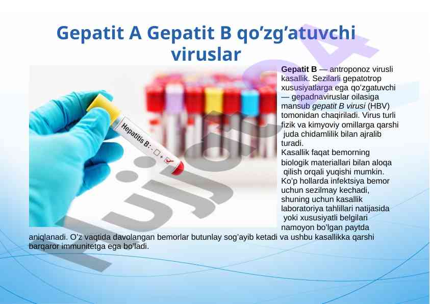 Gepatit b virusining xususiyatlari va ta'siri