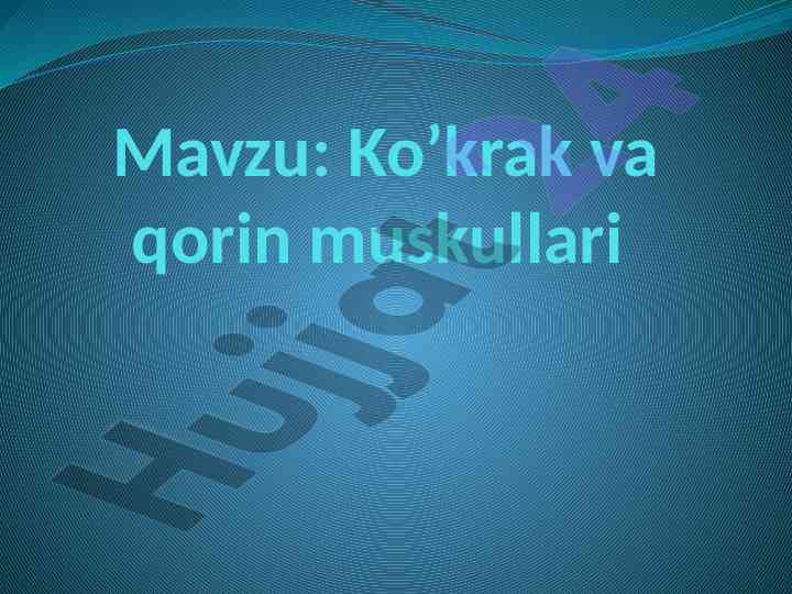 Ko’krak va qorin muskullarining tuzilishi va faoliyati