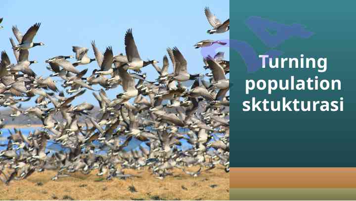 Populatsiya strukturasi va xususiyatlari tahlili