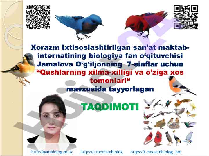 Qushlarning xilma-xilligi va o‘ziga xos tomonlari