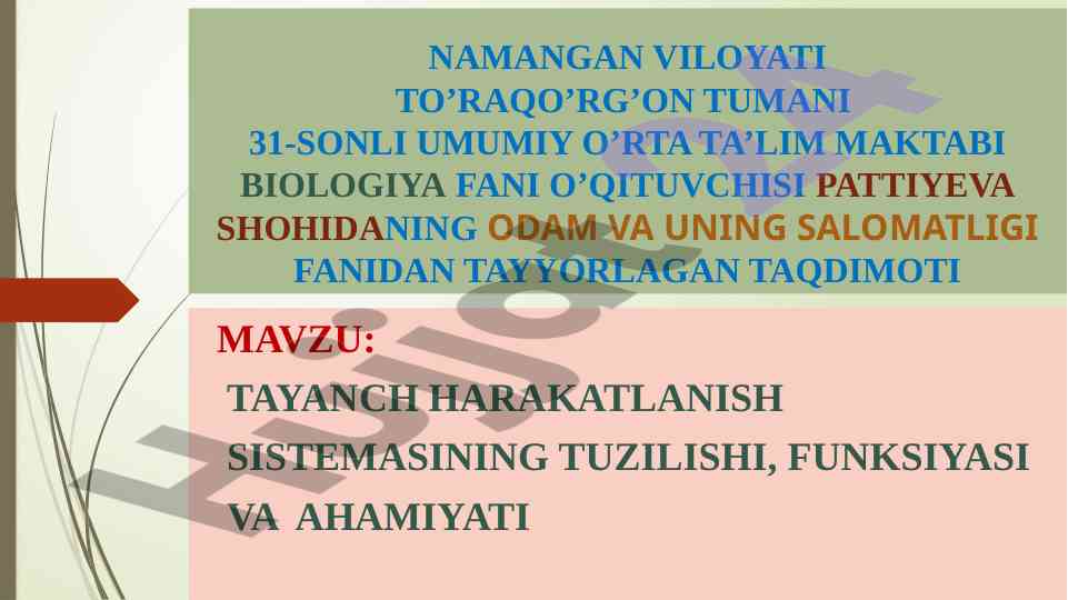 Tayanch harakatlanish sistemasining tuzilishi va ahamiyati
