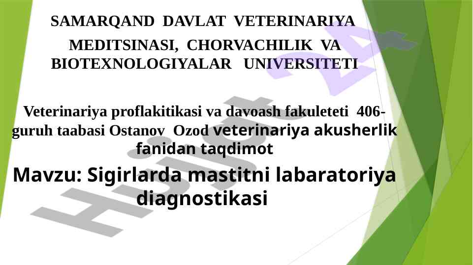 Sigirlarda mastitni laboratoriya diagnostikasi taqdimoti
