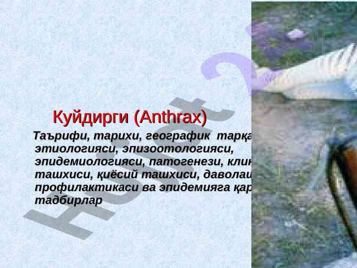 Anthrax ta'rifi va tarqalishi haqida ma'lumotlar