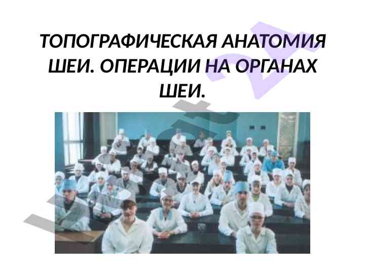 Топографическая анатомия шеи и её особенности