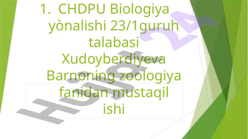 Chumolilar hayoti va tabiatdagi ahamiyati