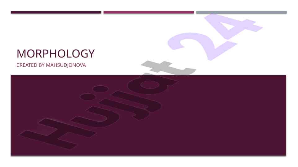Understanding morphology in language studies
