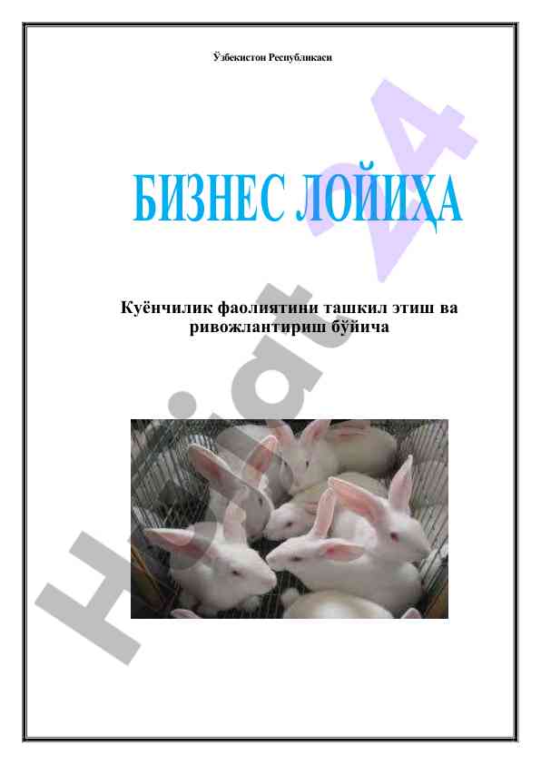 Куёнчилик фаолиятини ривожлантириш бизнес режаси
