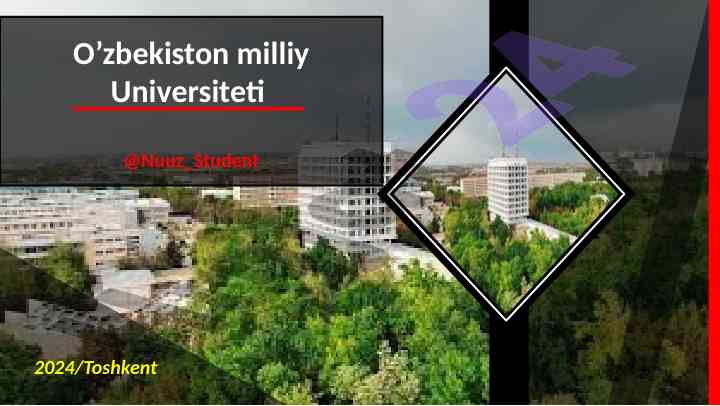 O’zbekiston milliy universiteti 2024 yilgi ma’ruzalar