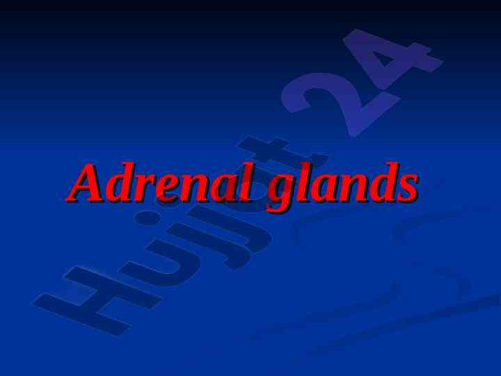 Adrenal glands and hormone secretion overview